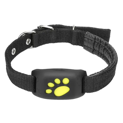 Pet GPS tracker collar - product image 2