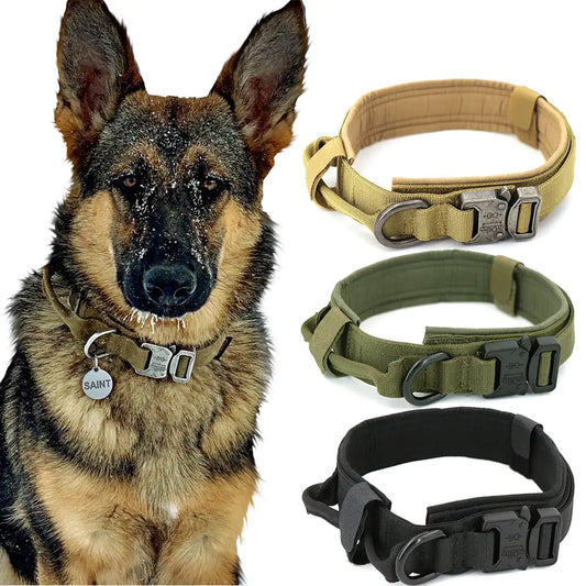 Comfortable everyday dog collar - product image 1
