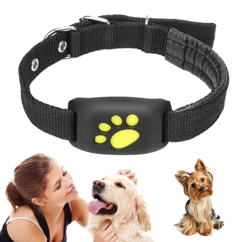 Pet GPS tracker collar - product image 1