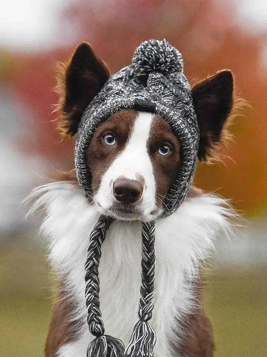 Breathable sun protection dog cap - product image 1