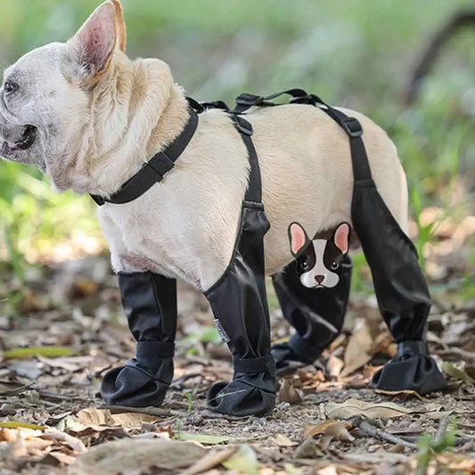 Anti-slip dog shoes for paw protection - product image 1